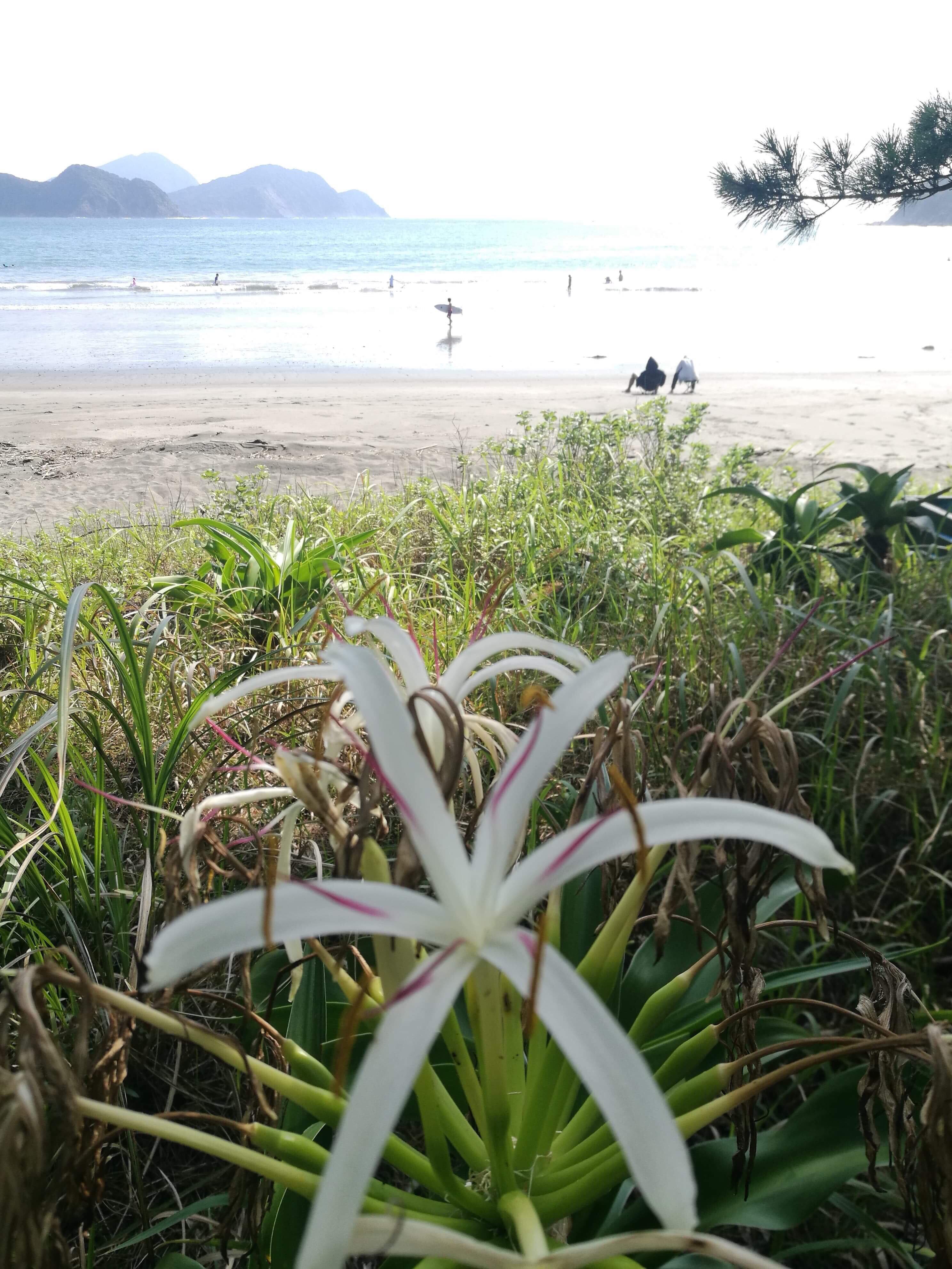 paragon_sea